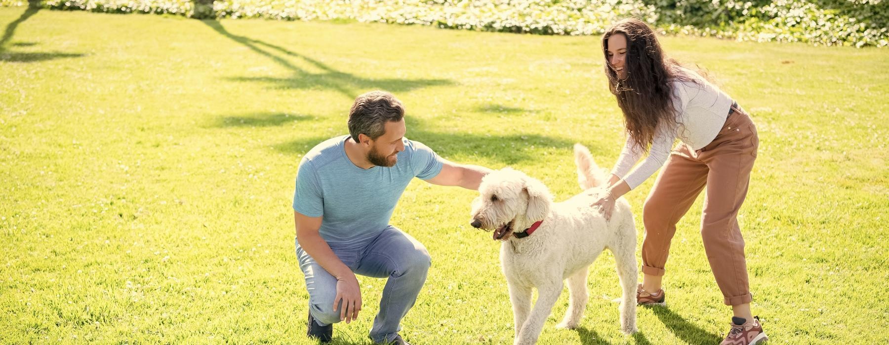 a man and a woman playing with a dog in a grassy area